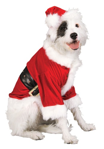 Disfraz de Santa para mascota