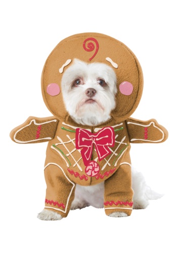Disfraz para perro de hombre de jengibre