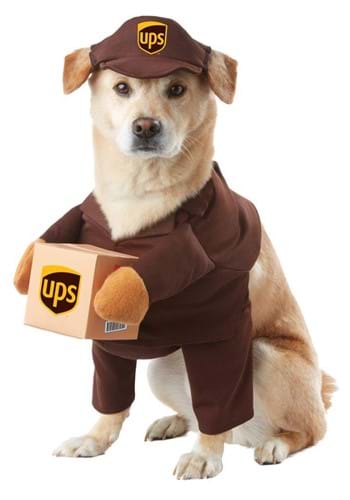 Disfraz de perro UPS