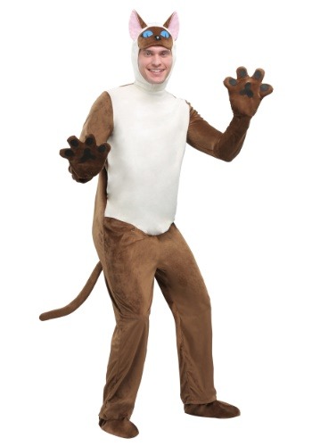 Gato siamés adulto