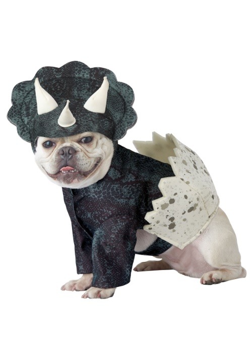 Disfraz de Dino Cachorro para perro